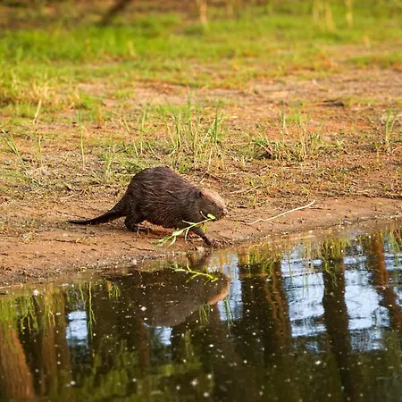Sonnenhof -hotel Garni- Hotel Damnatz