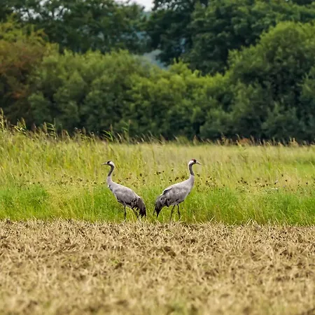 Hotel Sonnenhof -hotel Garni- 3*