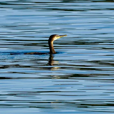 Sonnenhof -hotel Garni- 3* Damnatz