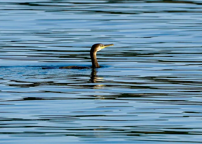 Sonnenhof -hotel Garni- 3* Damnatz